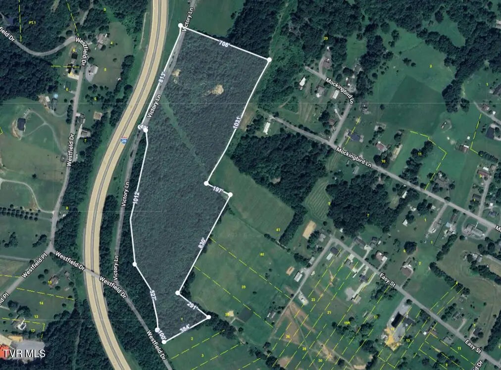 Xxx Easy St W Of, Kingsport