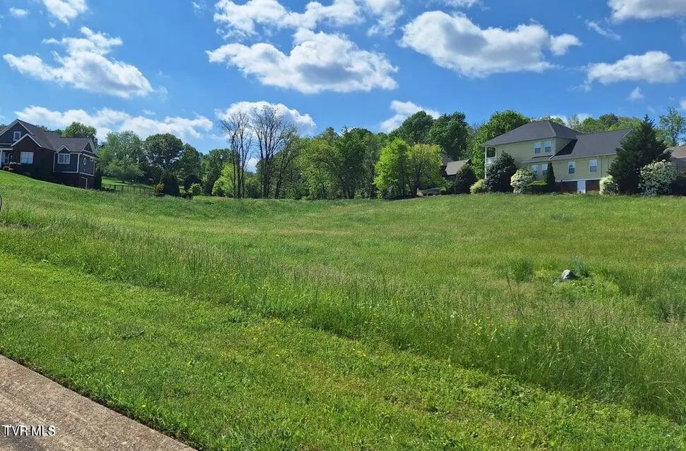 101 North Forest Lane, Blountville