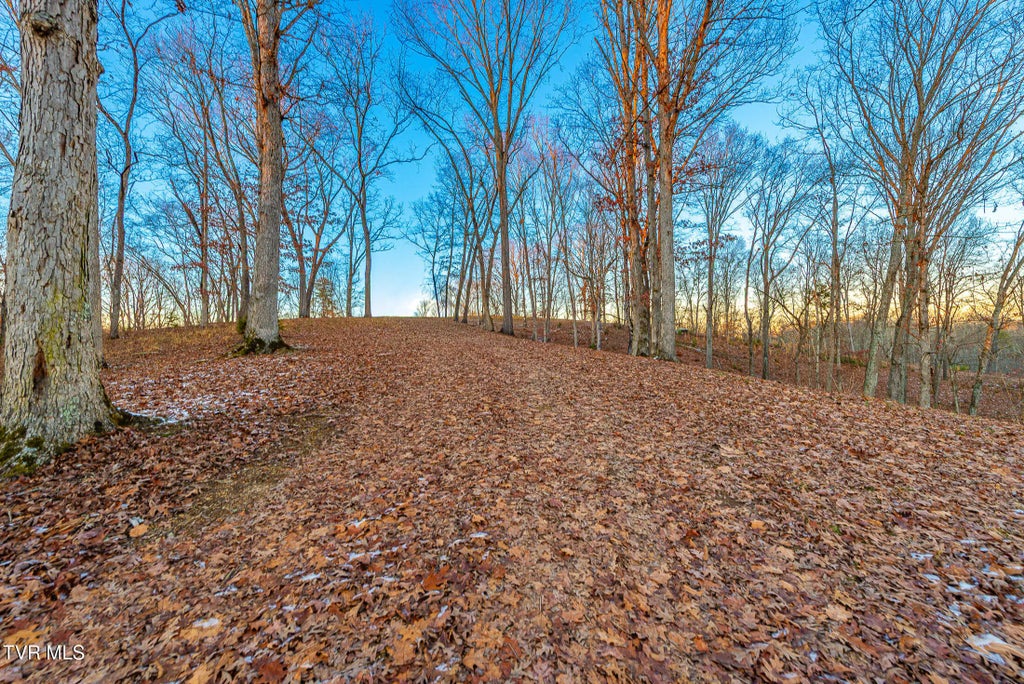 2246 Turkey Ridge Drive, Piney Flats