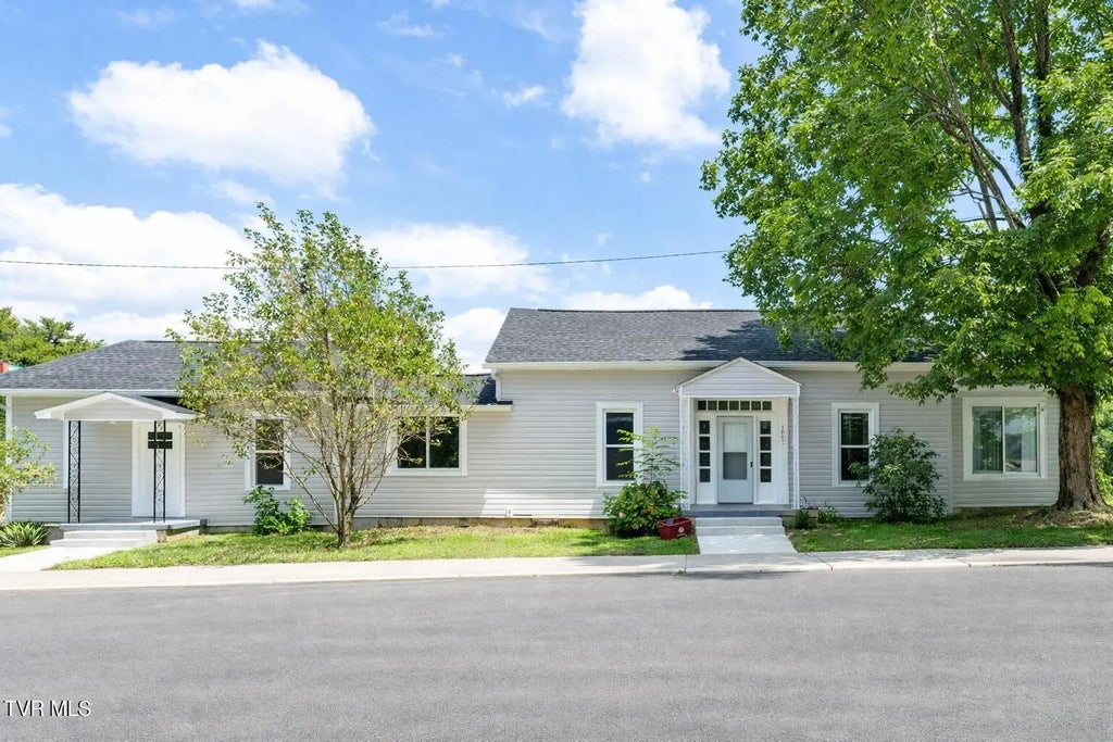 1007 Spring Street, Johnson City