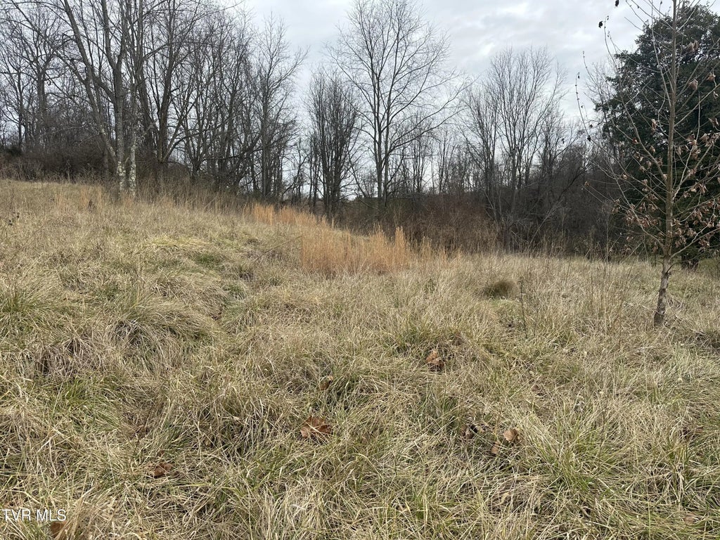 21509 Clear Creek Road, Bristol