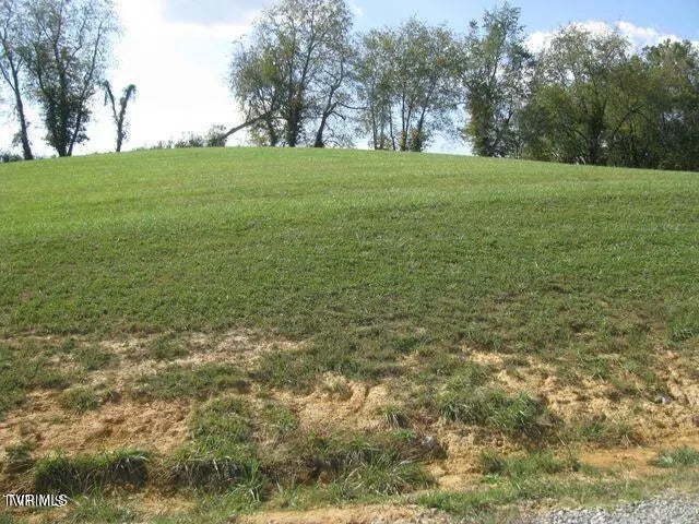 Lot 33 Vineyard Farms Parkway, Butler