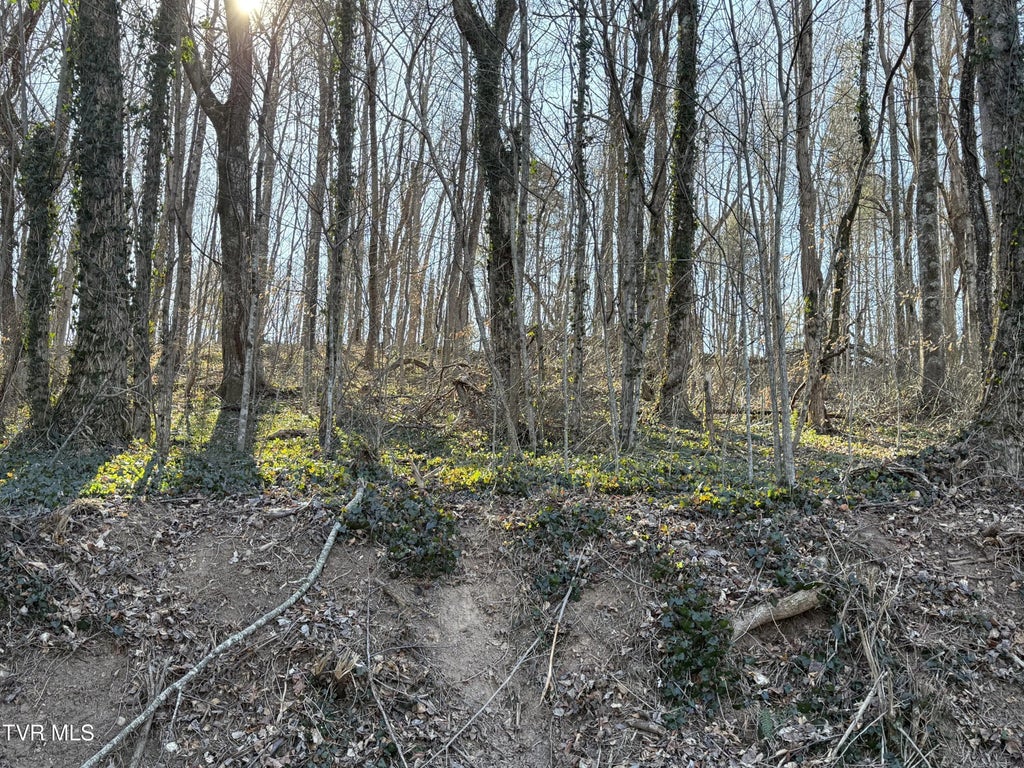 Lots 1-4 Bishop Hollow Road, Elizabethton