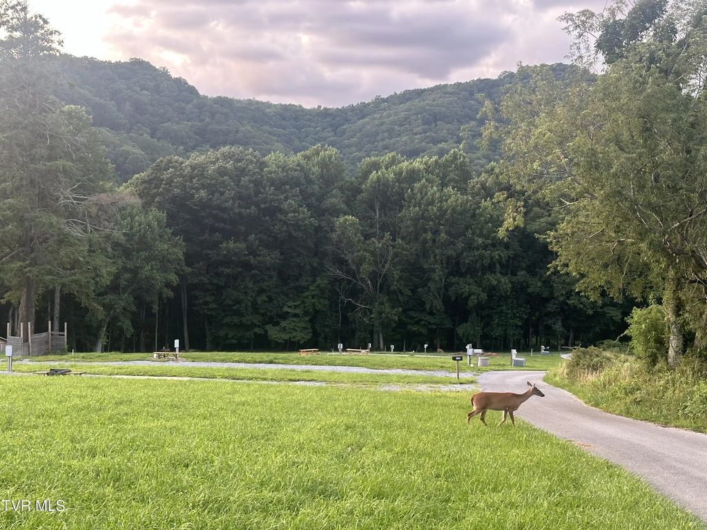 137 Dyer Road, Roan Mountain
