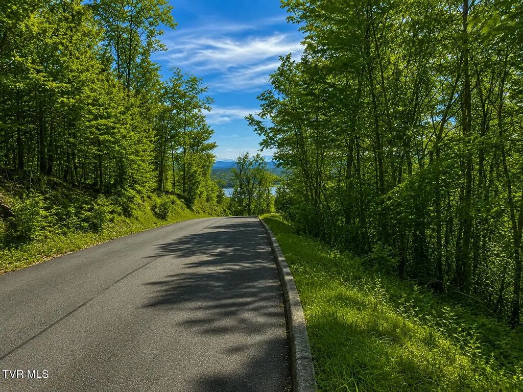 7/ac Pinnacle Point Lot 219, Mooresburg