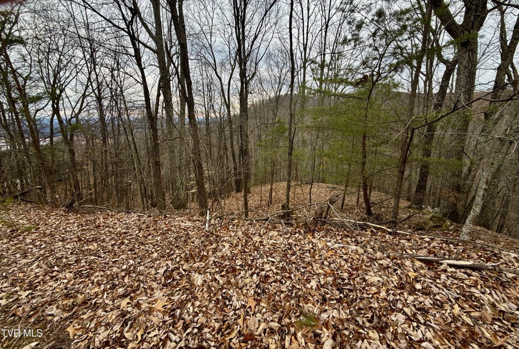 7/ac Pinnacle Point Lot 219, Mooresburg
