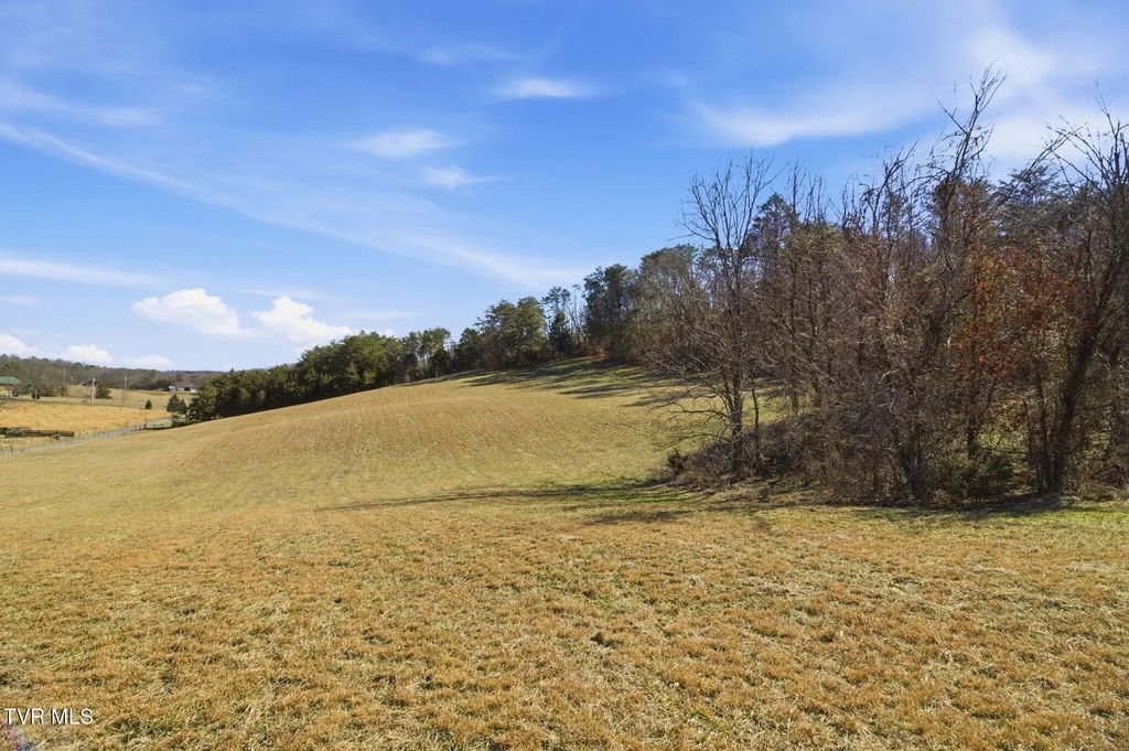 1470 Snake Hollow Road, Greeneville