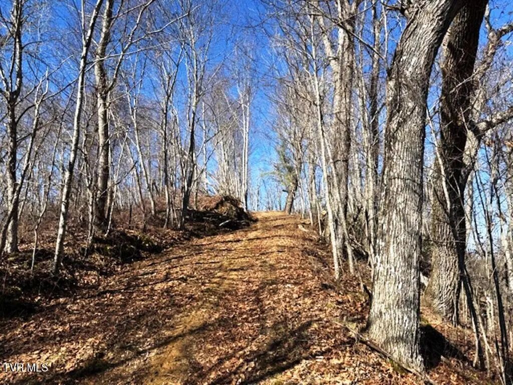 Tbd Vilas Overlook Drive, Vilas