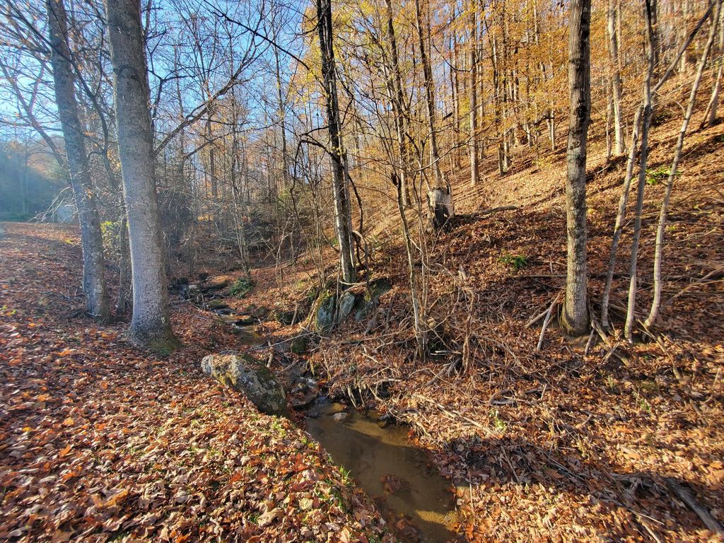 Ingram Branch Road, Roan Mountain