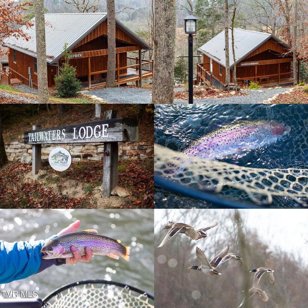 17 of 42 - 383 South Tva Road, Bristol, TENNESSEE