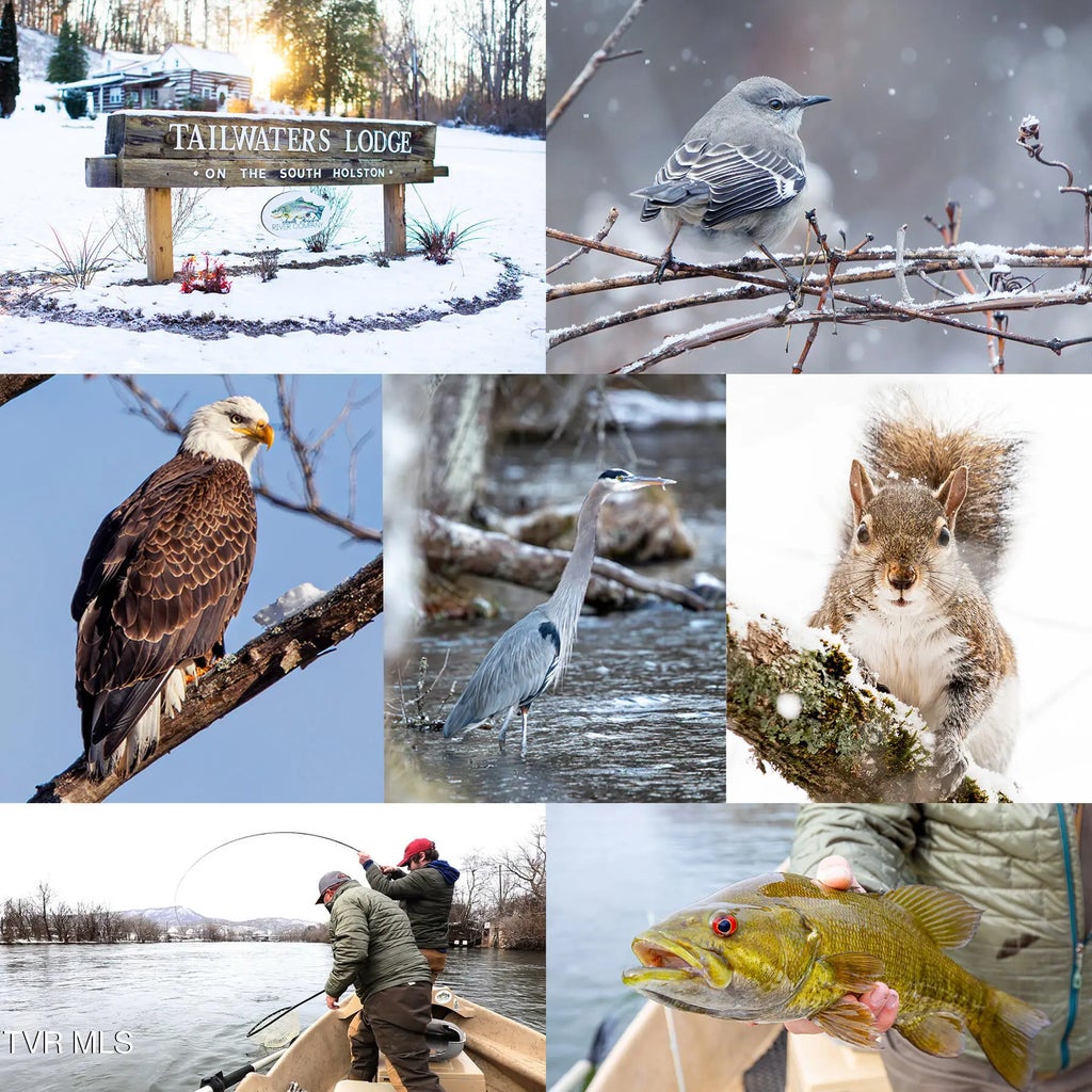 19 of 42 - 383 South Tva Road, Bristol, TENNESSEE