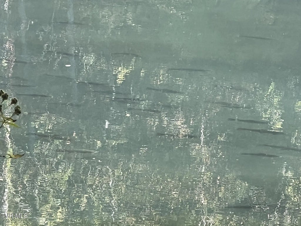 20 of 42 - 383 South Tva Road, Bristol, TENNESSEE