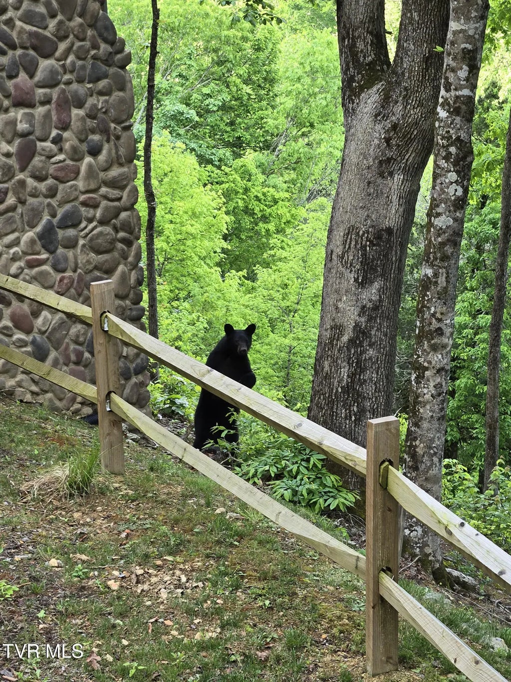 26 of 42 - 383 South Tva Road, Bristol, TENNESSEE