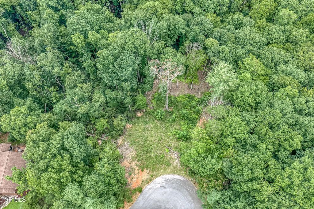 129 Mountain Laurel Court, Unicoi