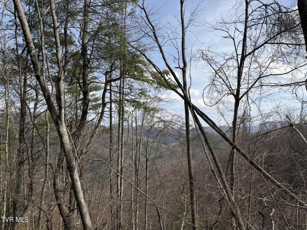 Tbd Highway 421, Mountain City