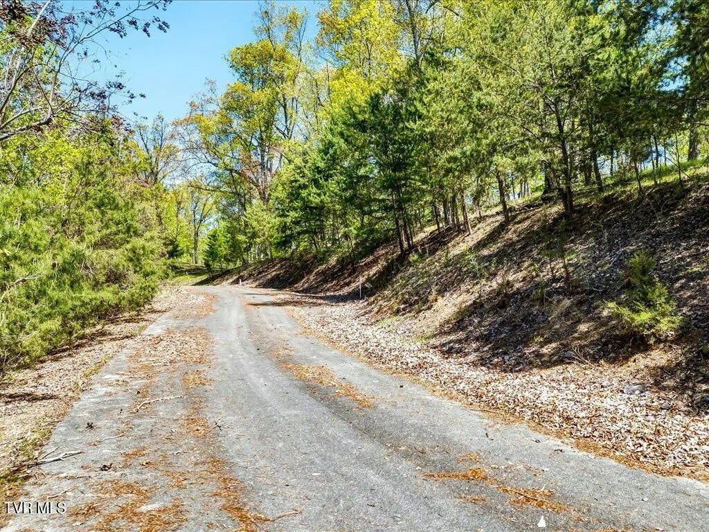 Lot 49 Hickory Knoll Circle, Whitesburg