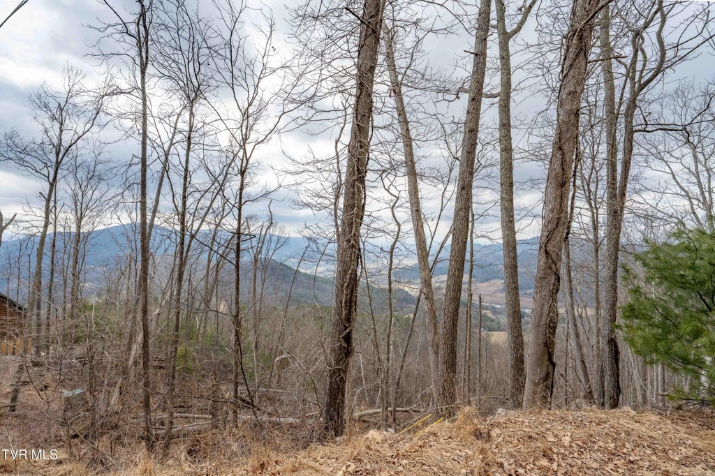Lot #26 Iroquois Road, Mountain City