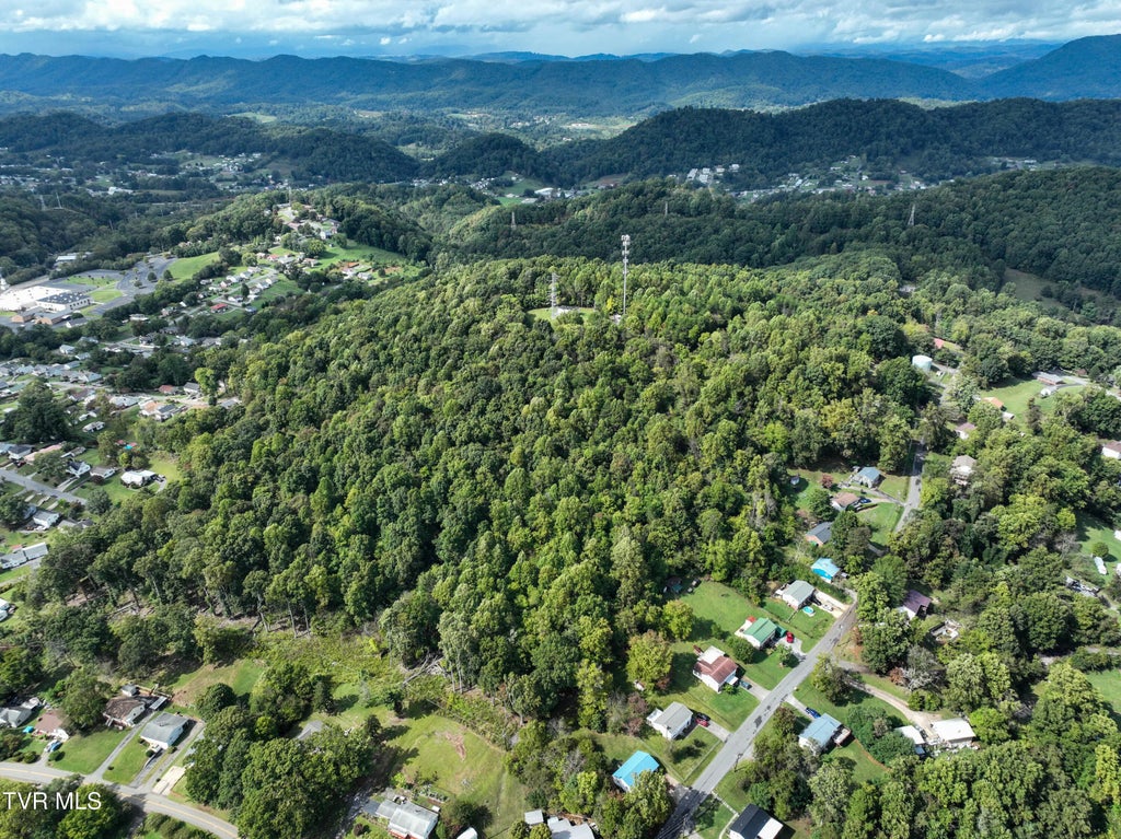 Tbd Mullins St Off, Kingsport