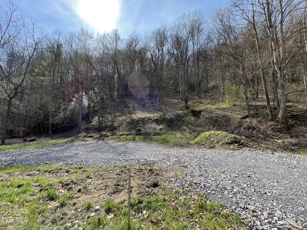 Tbd Sawmill Hollow Road, Dante
