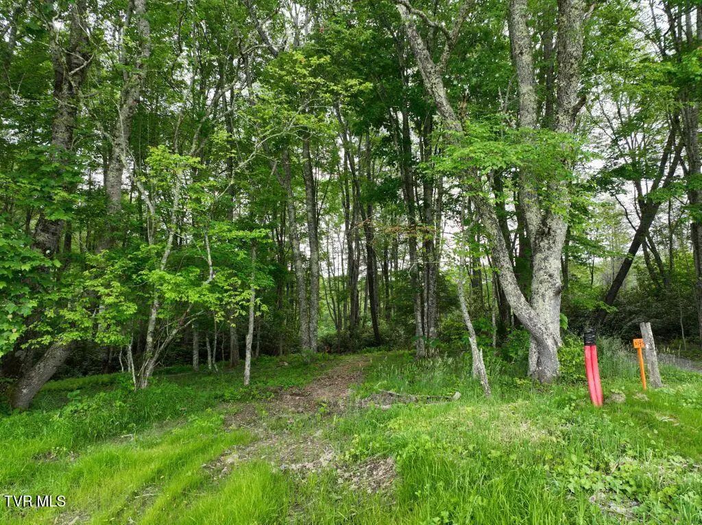 1762 Ripshin Mountain Road, Roan Mountain