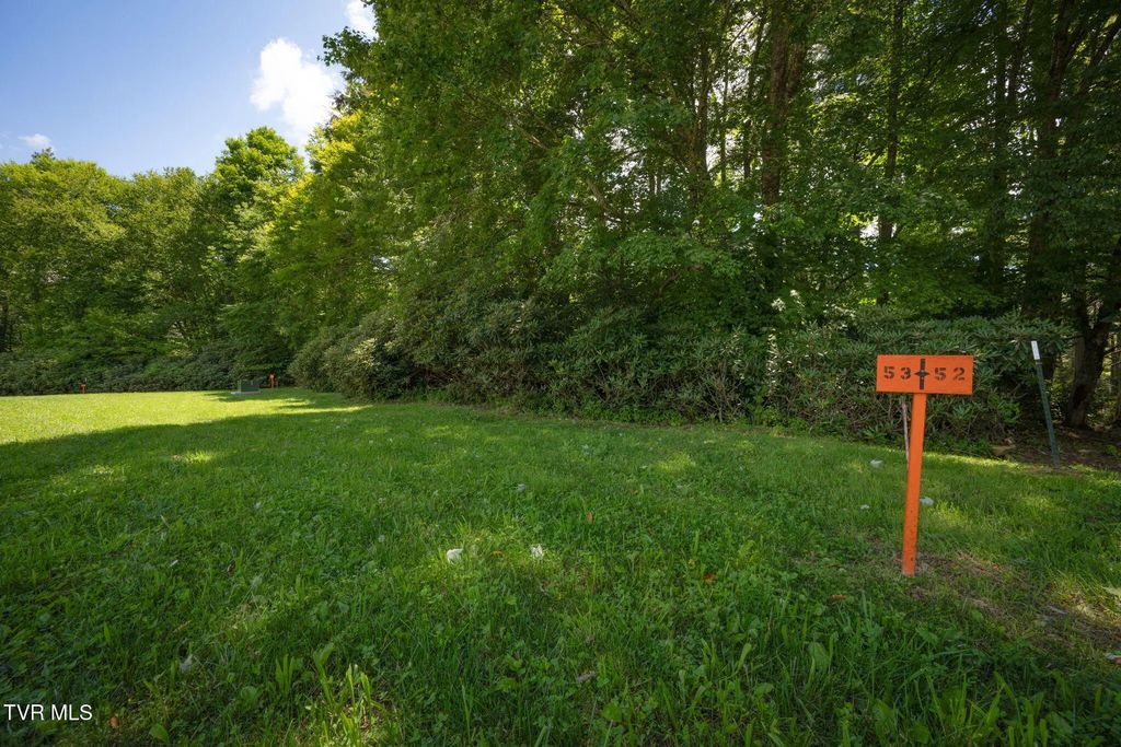 1764 Ripshin Mountain Road, Roan Mountain