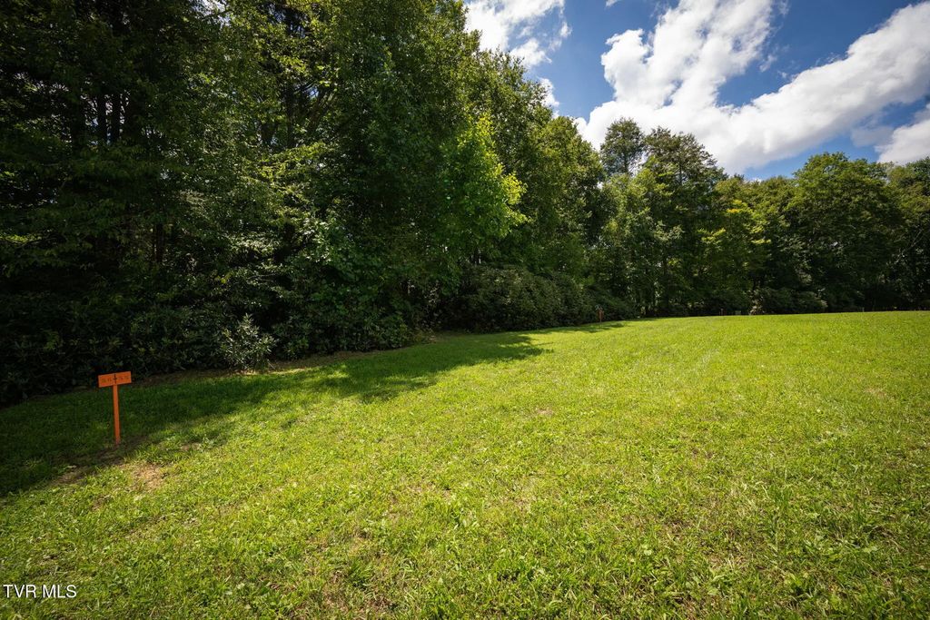 1772 Ripshin Mountain Road, Roan Mountain