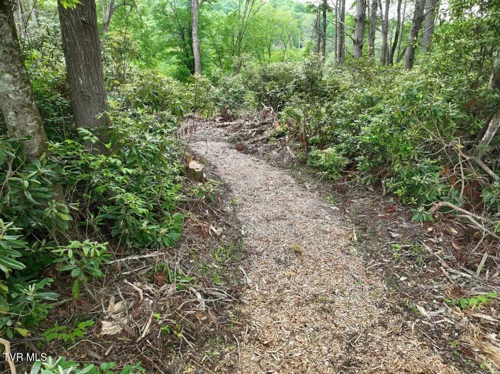 1772 Ripshin Mountain Road, Roan Mountain