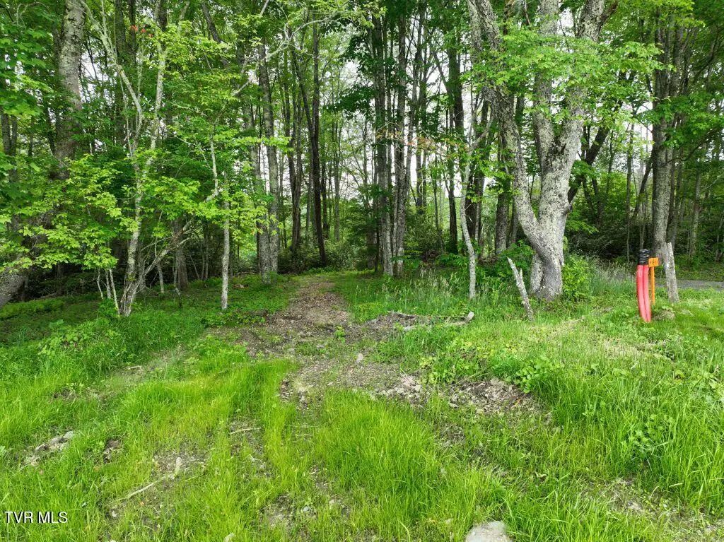 1776 Ripshin Mountain Road, Roan Mountain