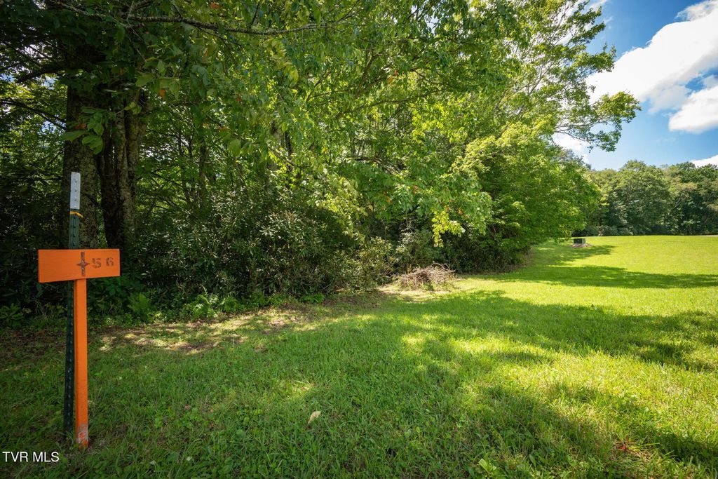 1776 Ripshin Mountain Road, Roan Mountain