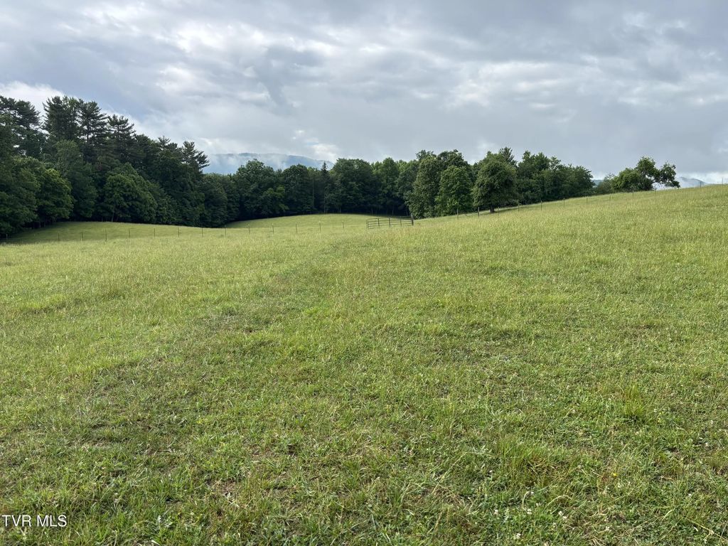 West Dw Of Swift Hollow, Mountain City