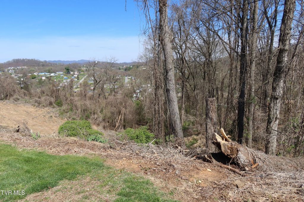 Tbd Clara Drive, Kingsport