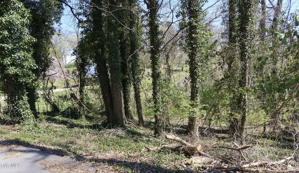 Tbd Crest Road, Kingsport