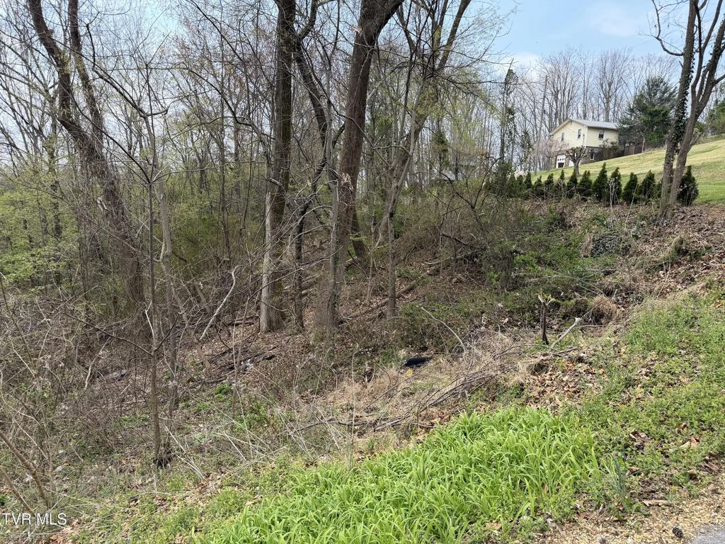410 Crystal View Street, Kingsport