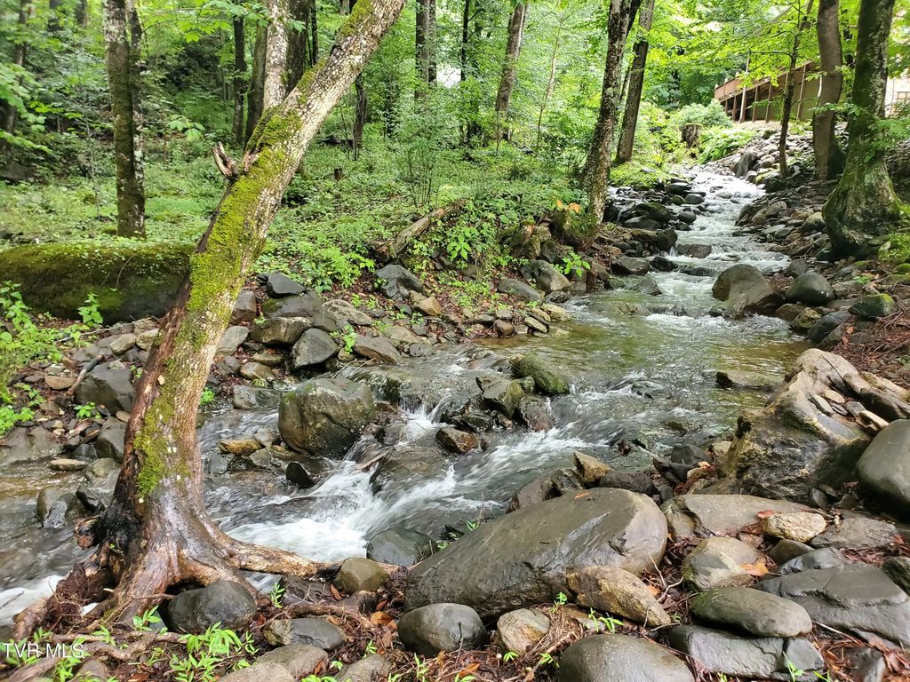 206 Toms Creek Drive, Roan Mountain