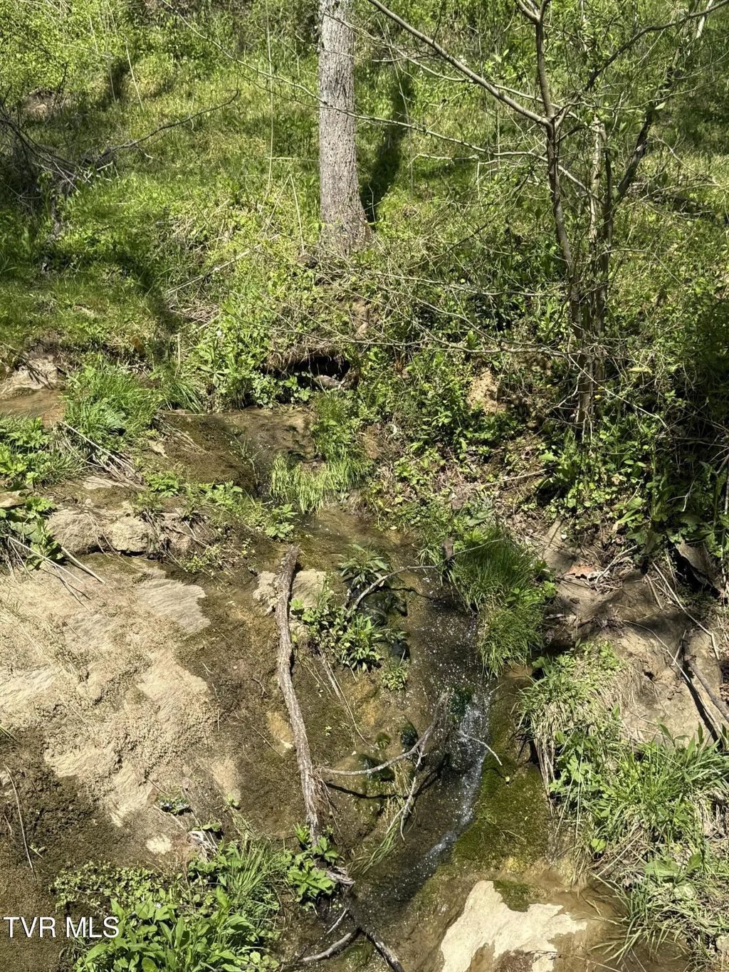 Goshen Valley (64 Acres) Road, Church Hill