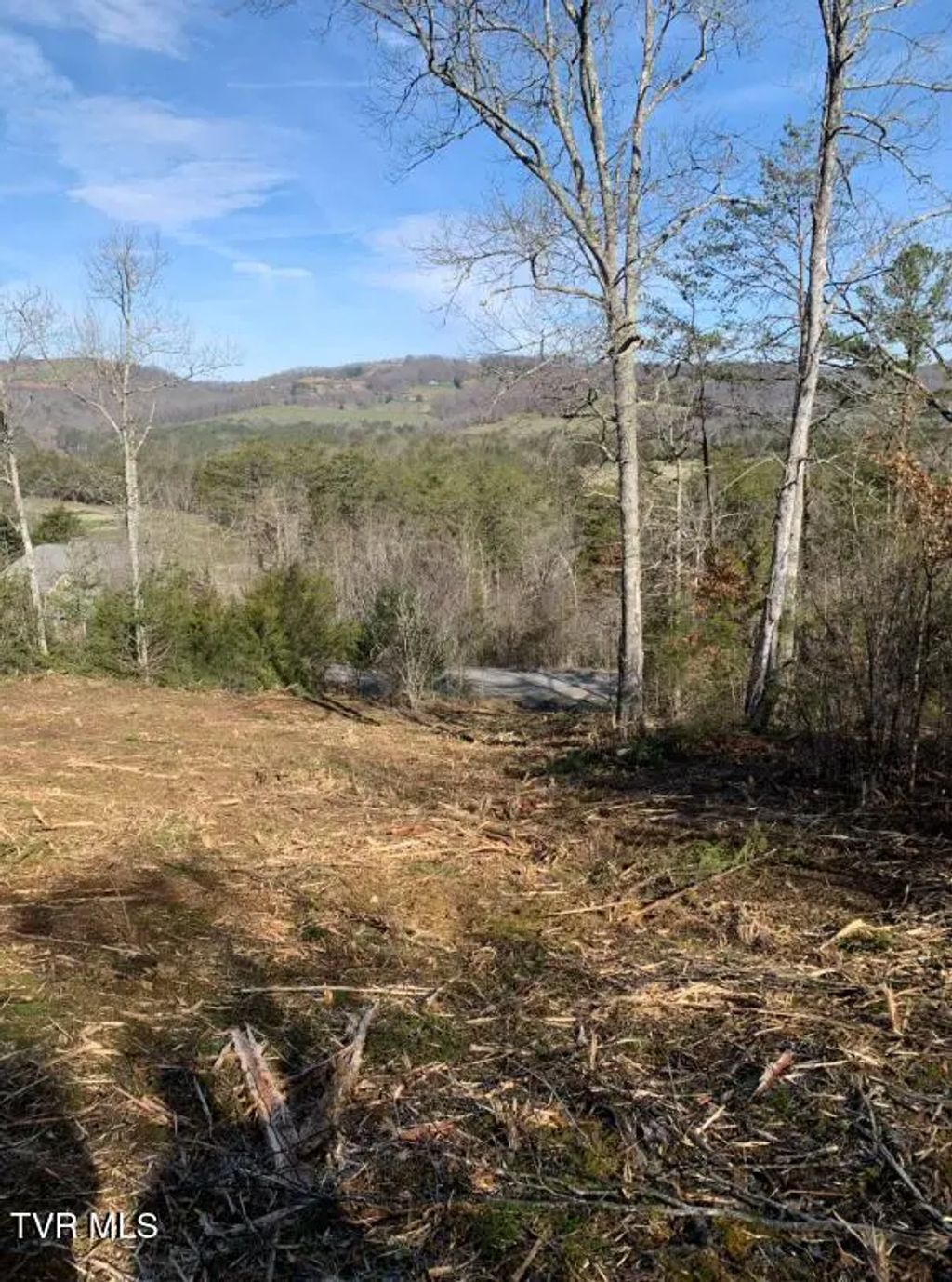 Tbd Putters Peak, Tazewell
