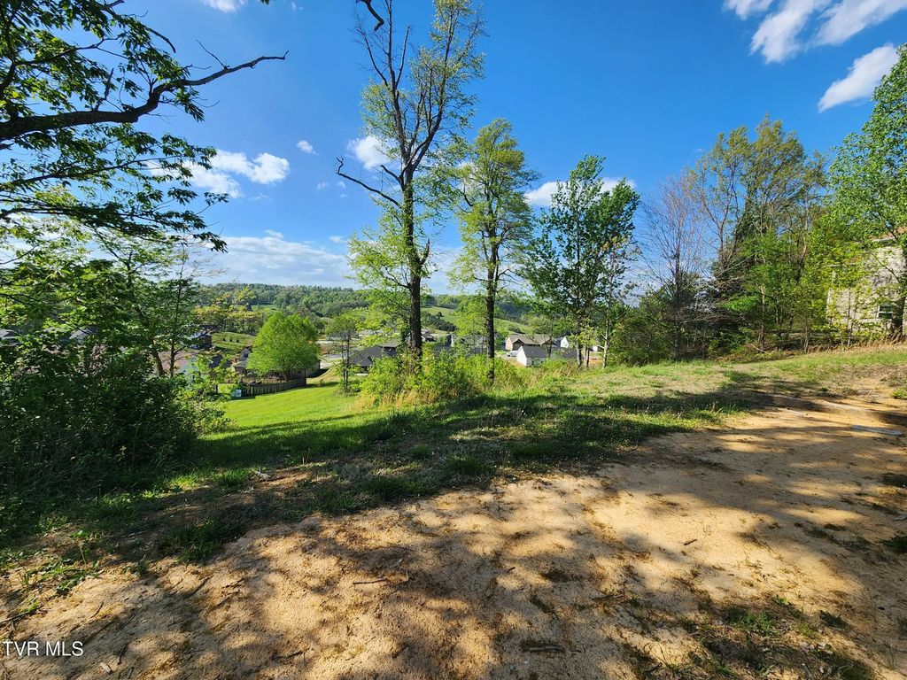 1253 Skyline Drive, Jonesborough