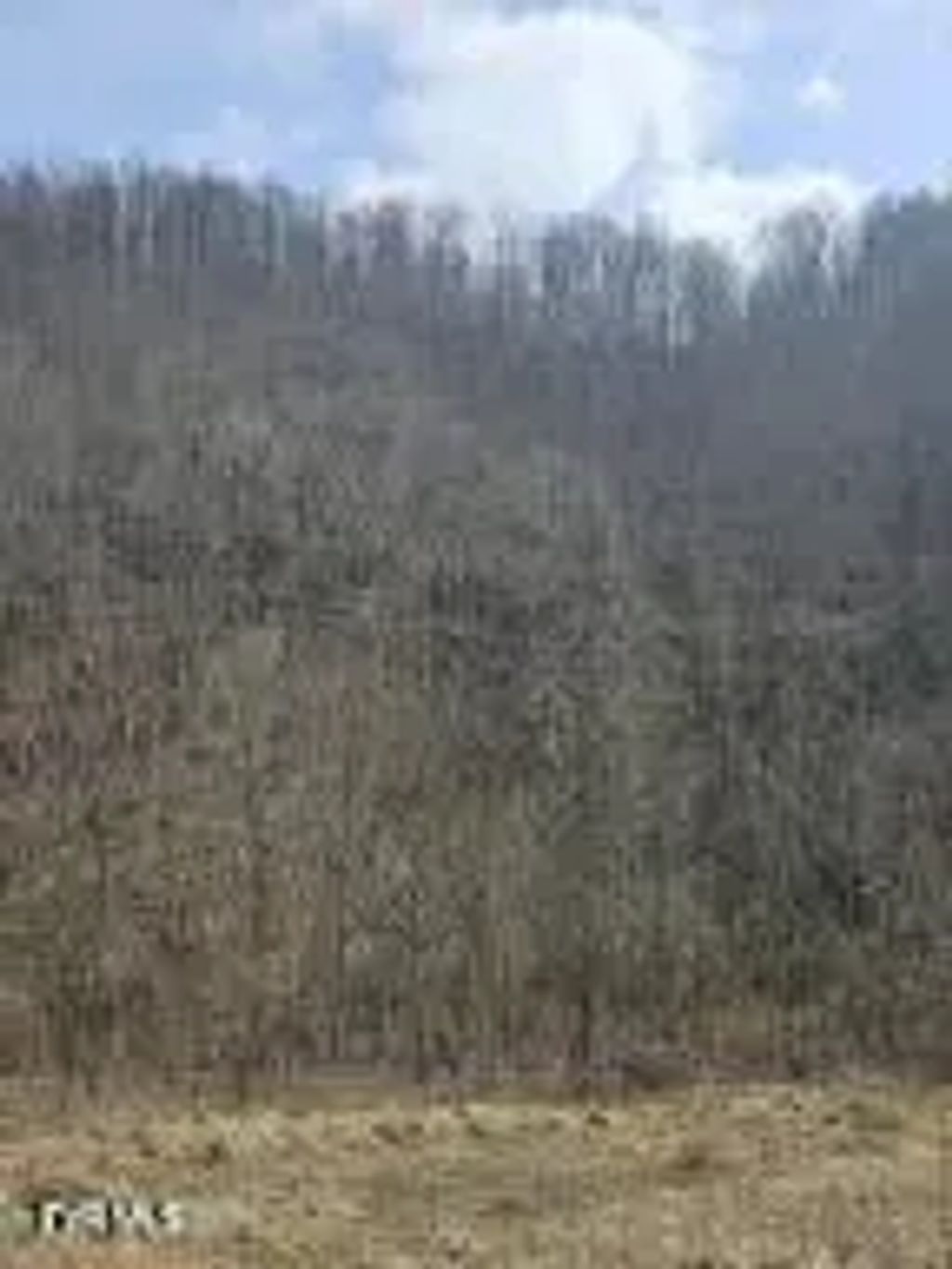 792 Adria Road, North Tazewell