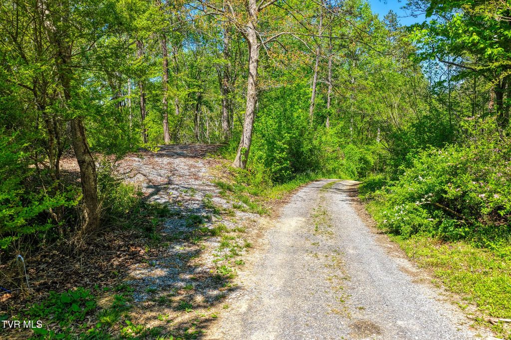 Lot 4 Golf Course Road Lot 4, Rogersville