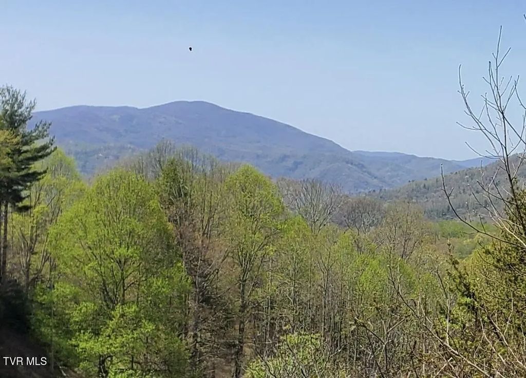 Tbd Blue Grass Road, Roan Mountain