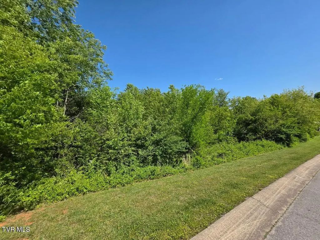 Lot 68 Southview Circle, Kodak
