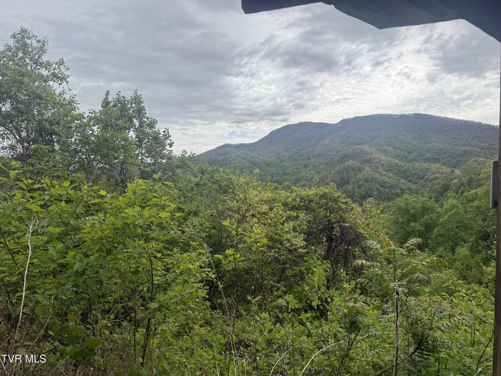 174 Doty Road, Roan Mountain