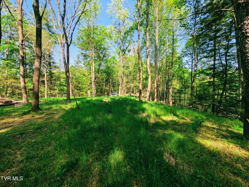 Tbd Leaf Ridge, Clintwood