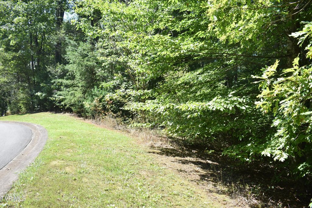 112 River Pointe Drive, Greeneville