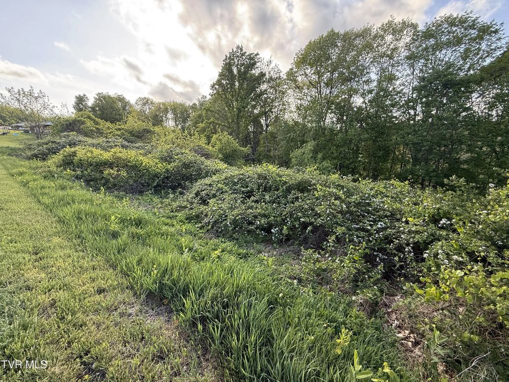 Gibson Road, Nickelsville