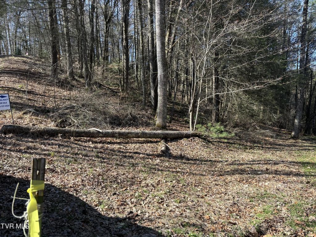 445 Possum Valley Road, Laurel Bloomery