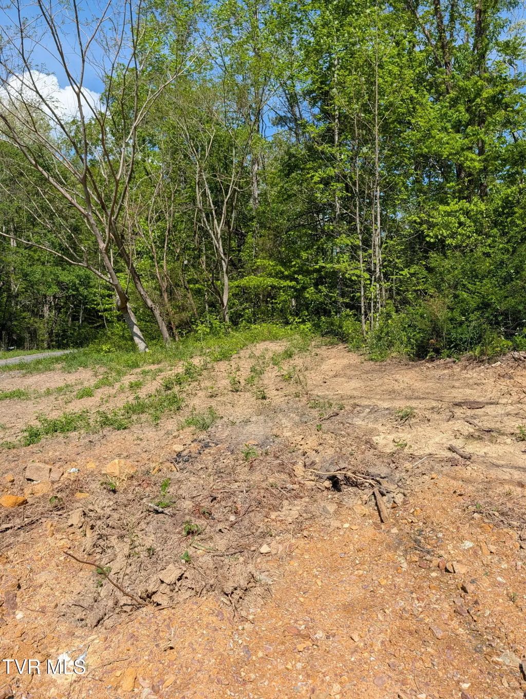 523 Sulphur Springs Road, Rogersville