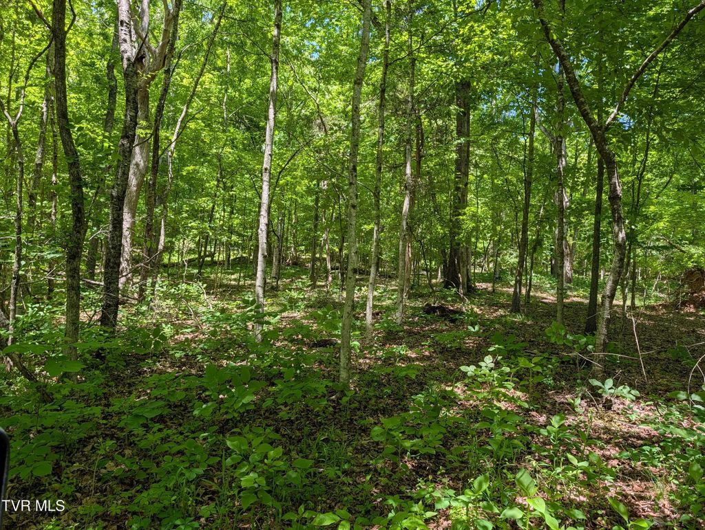 Tbd Carters Valley Loop 064 096.01, Rogersville