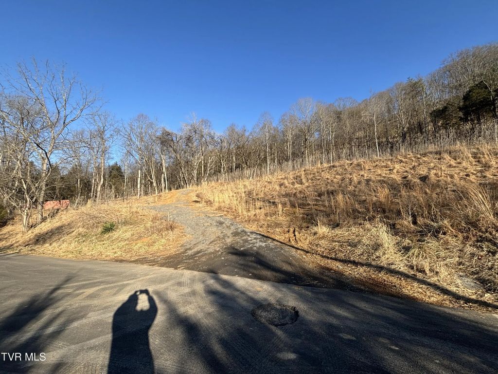 4145 Cooks Landing Road, Kingsport