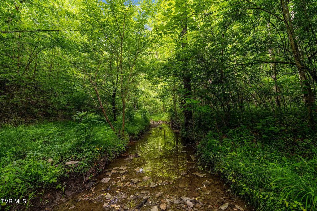 Tbd Rocky Hollow Road, Rogersville